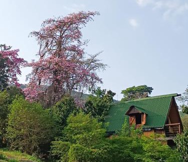 Curiti Autre | Glamping el nido