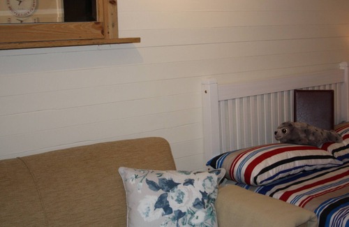 Strangford Cabine | Glamping dans un style à Seal Cabi