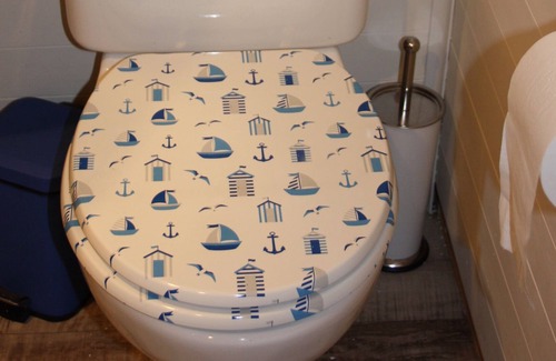 Strangford Cabine | Glamping dans un style à Seal Cabi