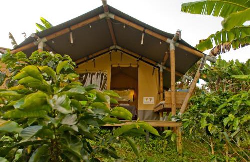 Jardin Autre | Glamping Jardín