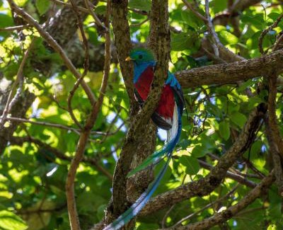 Rivas Autre | Glamping Jaulares Mountain