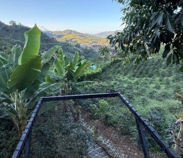 Andes Cabine | Glamping Mountain Coffee
