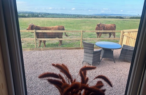 Whaddon Cabine | Glamping Pod in secluded location with Highland Cows at the fence