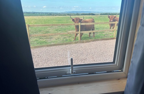 Whaddon Cabine | Glamping Pod in secluded location with Highland Cows at the fence