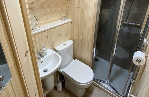 Milland Cabine | Glamping pod nestled deep within the South Downs National Park.