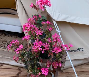 Kangasala Autre | Glamping Ponsa