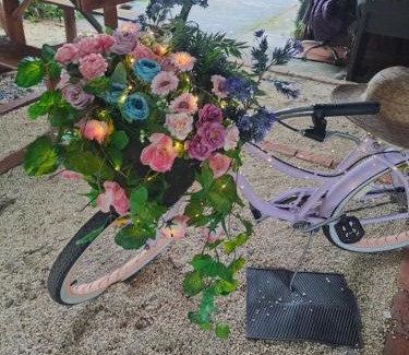 Katira Autre | Glamping Rio Celeste Heliconia