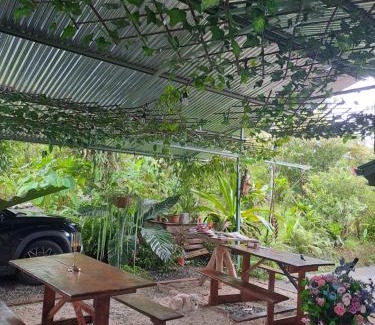 Katira Autre | Glamping Rio Celeste Heliconia