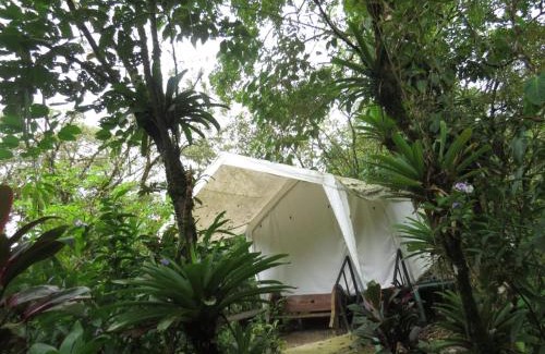 Katira Autre | Glamping Rio Celeste Heliconia