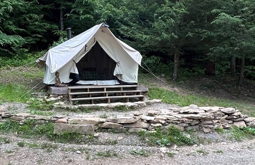 Northern Cabine | Glamping safari tent overlooking pond with woodstove. Kid and pet friendly.