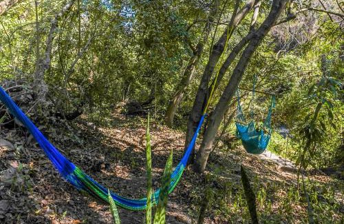 Xoxocotla Chalet De Ski | Glamping Sostenible Cabaña El Santuario