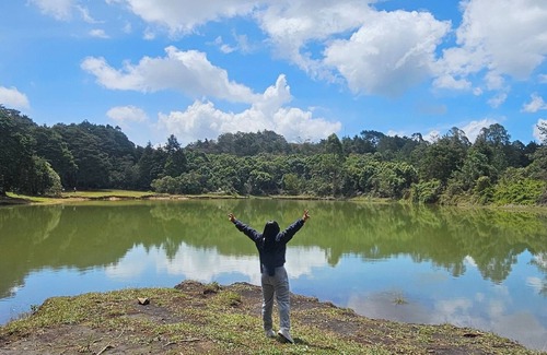 Medellin Cabine | Glamping Volver a la Tierra