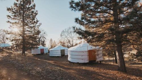 Dunlap Maison | Glamping yurt at Sequoia Highland Camp