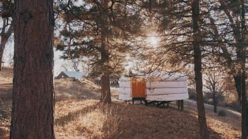 Dunlap Maison | Glamping yurt at Sequoia Highland Camp