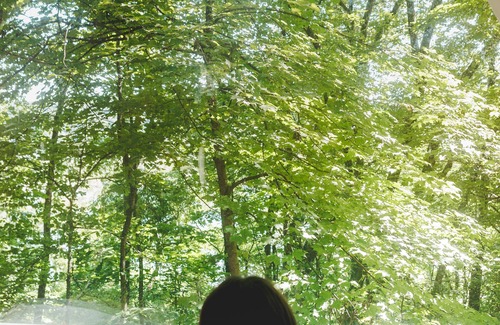 Kipling Location De VR | Glamplyfe Nature Experience: A-Frames in the Hills F3