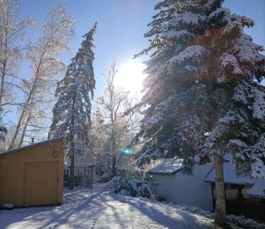 Kisujbanya Chalet De Ski | GLASHÜTTE Kisújbánya Vadászház