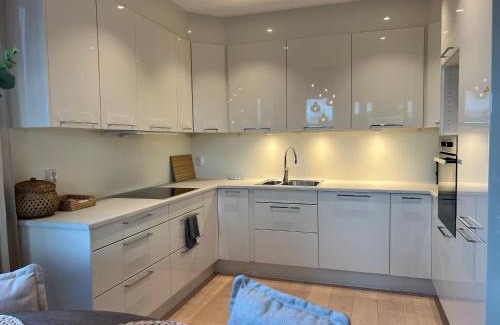 Asane Appartement | Glaskaråsen