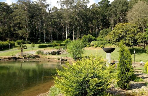 Sassafras Appartement | Glen Elborne-On The LAKE-Platypus / Lyrebirds / Wildlife / Walking Tracks