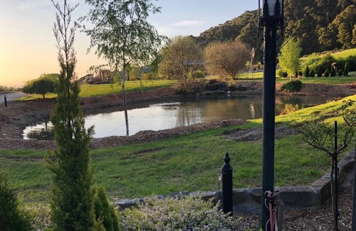 Sassafras Appartement | Glen Elborne-On The LAKE-Platypus / Lyrebirds / Wildlife / Walking Tracks