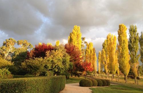 Glen Innes Maison | Glen Waverly Farmstay