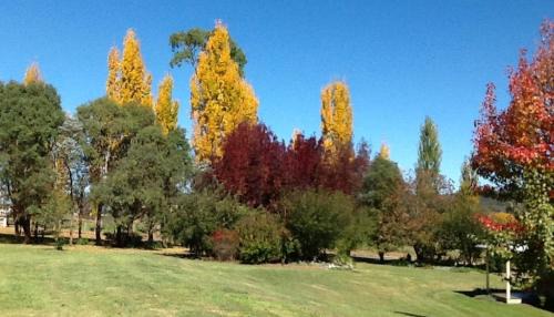Glen Innes Maison | Glen Waverly Farmstay