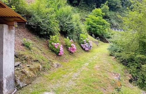 Stazzema Maison | Gli Orti di Mulina le Apuane con parcheggio privato e WiFi