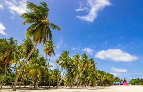 Kaashidhoo Maison | Global Residence