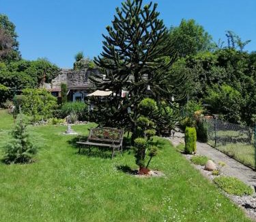 Bad Sooden-Allendorf Appartement | Glori' s Fewo groß