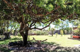 St. Helena Bay Maison | Goblin's Creek