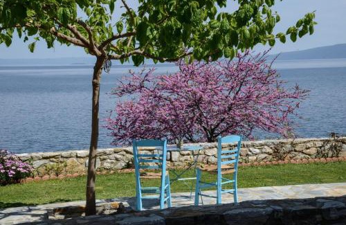 Sourpi Appartement | Goddesses Villa 2 in Nies