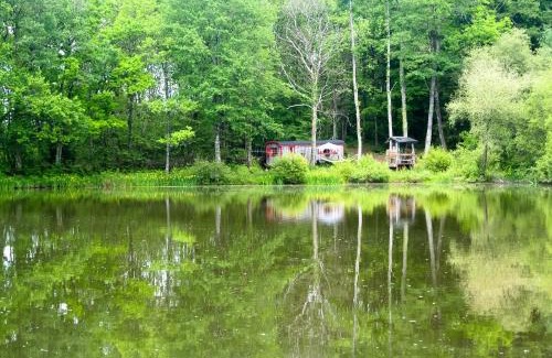 Saint-Priest-les-Fougeres Autre | GoGreen Roulotte