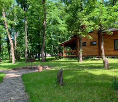 Vinnyts'ka oblast Appartement | GOL&Wood