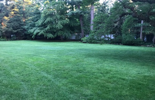 Glen Cove Maison | Gold Coast August Rental