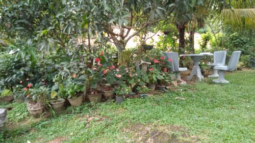 Mulatiyana Appartement | Golden Arts Resort