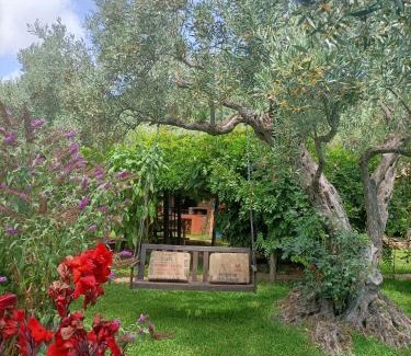 Falerna Autre | Golden Camp