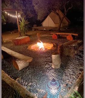 Falerna Autre | Golden Camp