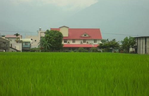 Yuli Maison | Golden flower Homestay