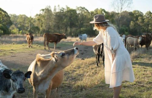 Rosedale Maison | Golden Hill Farmstay by Tiny Away