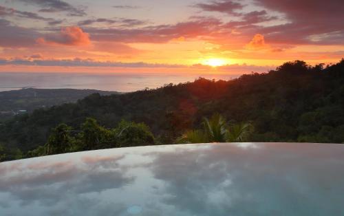 Ballena Hôtel | Golden Pineapple Villas-Adults Only