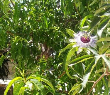 Paralimni Appartement | Golden sunshine