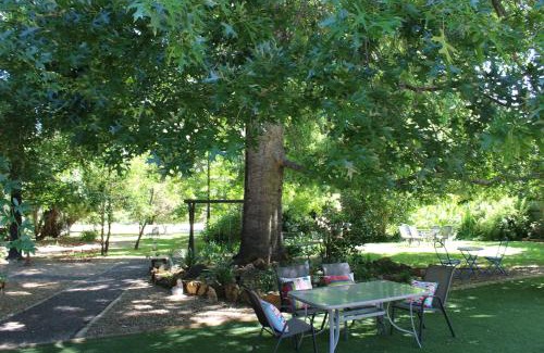Bright Appartement | Goldfield Holiday Units