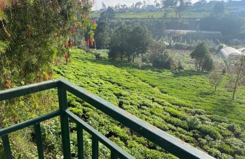 Kotagiri Maison | Golf Dale Holiday Resort