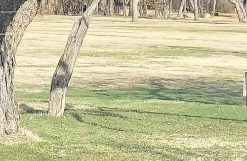 Runaway Bay Maison | Golf, fish and stay Runaway Bay