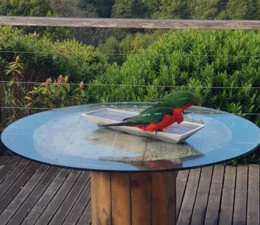 Lavers Hill Maison | Gone Surfin