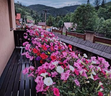 Zdiar Maison | Goralturist