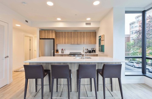 Fenway–Kenmore Appartement | Gorgeous Apt with Kitchen-IDL-250