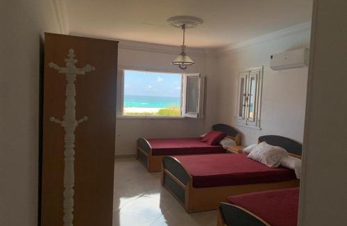 Borg el Arab Maison | Gorgeous Beachfront House in Sidi Krir