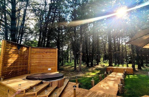 Wills Point Cabine | Gorgeous Beehive Tiny House Surrounded by Trees for a Unique Romantic Getaway near Wills Point, Texas