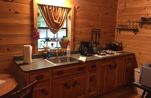 Trumansburg Cabine | Superbe cabine pour une propriété au bord du lac!