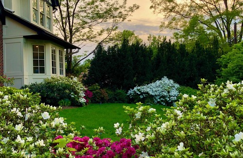 Chevy Chase Maison | Gorgeous Chevy Chase 4-Bedroom Home, Short Walk to Bethesda, Metro & Restaurants